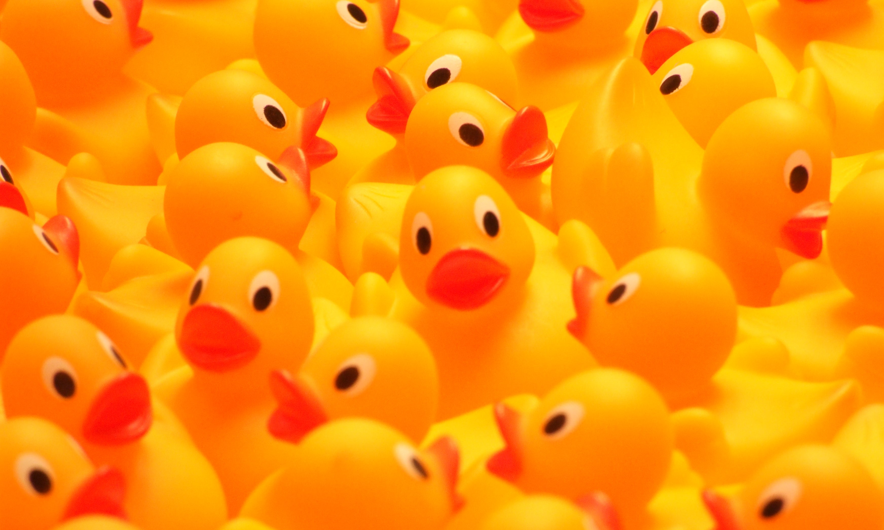 A Quacky Tale: History of Rubber Ducks