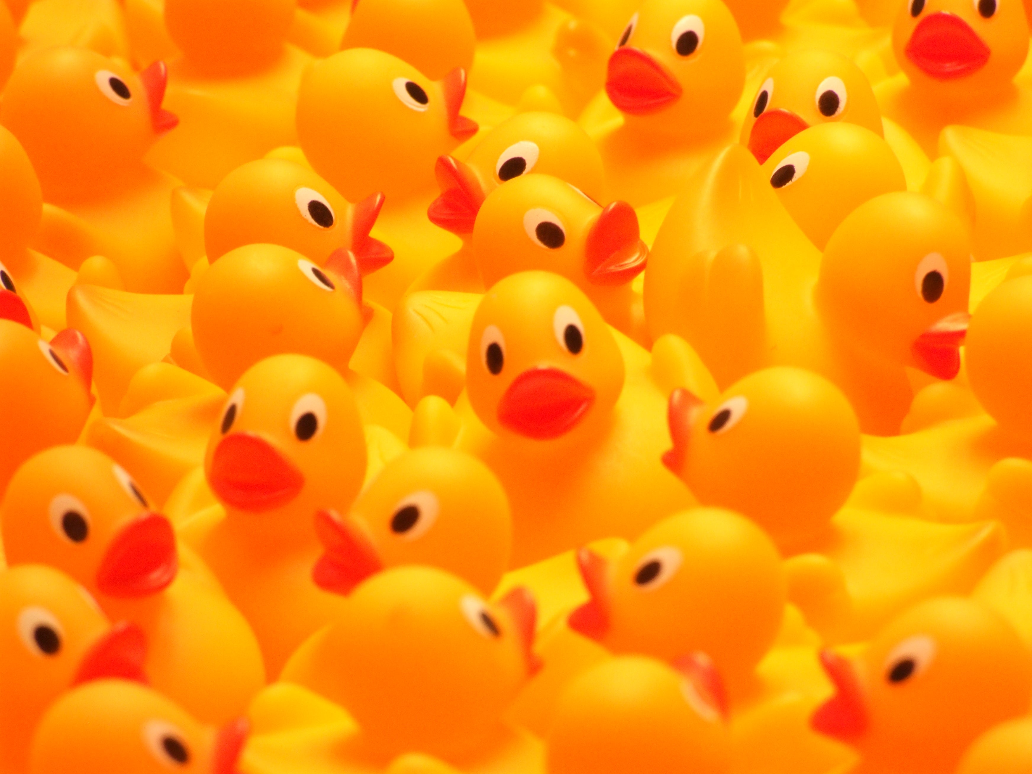 A Quacky Tale: History of Rubber Ducks